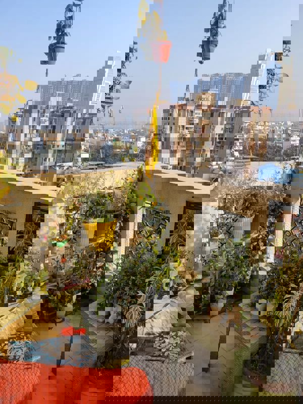 3 BHK + Study Room 1700 Sq.Ft. Apartment in Gracious Tower