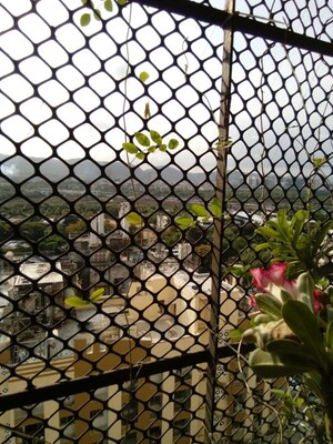 Parking in 1.5 BHK Apartment at Thane West – for Rent