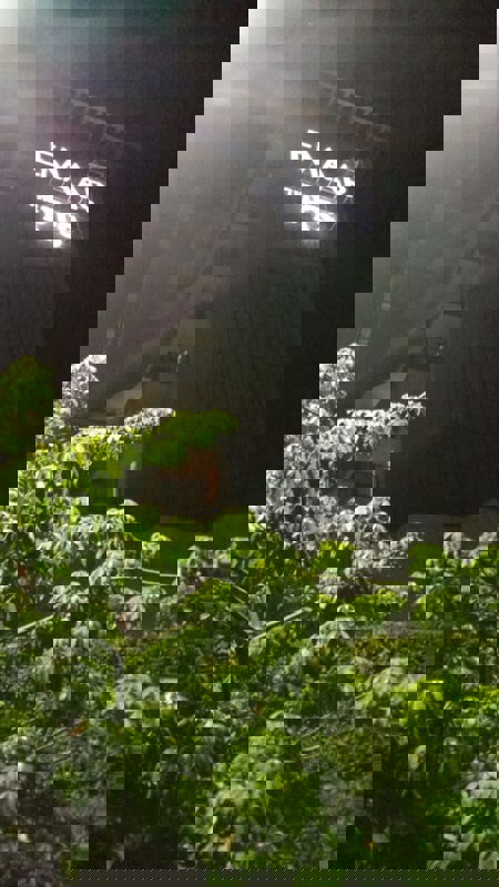 4 BHK + Servant Room 2410 Sq.Ft. Apartment in Emaar Palm Terraces Select