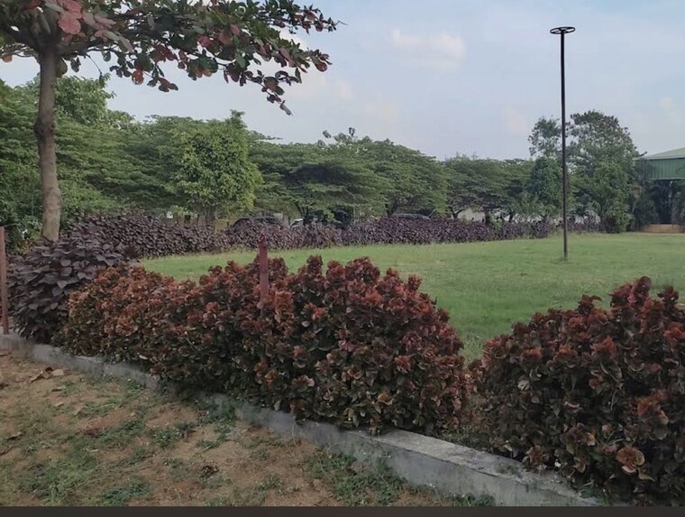 Garden, sri-raja-rajeshwara-enclave  223 Sq.Ft. Plot In Domakonda Kamareddy 10130528