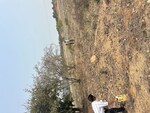 223 Sq.Ft. Plot in TMR Green Meadows
