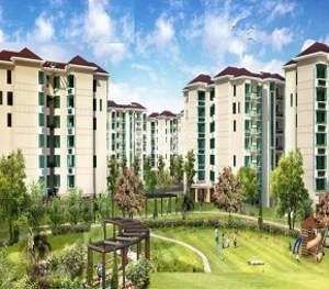 Studio Apartment For Sale in Jaypee Greens Kassia, Jaypee Greens Sports City
