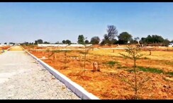 Plot For Sale in Raigiri