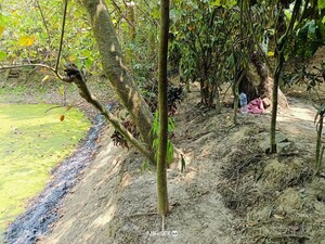  2.5 BHK Villa at Bakrahat – for Sale