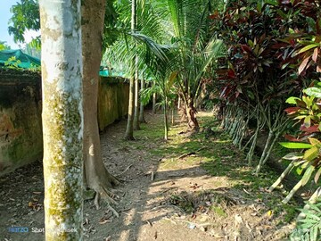 2.5 BHK Villa – Exterior View View at Bakrahat - for Sale