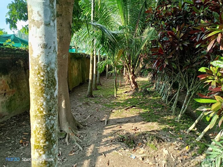 Exterior View, bakrahat 2.5 Bedroom 25000 Sq.Ft. Villa In Bakrahat Kolkata 10130735