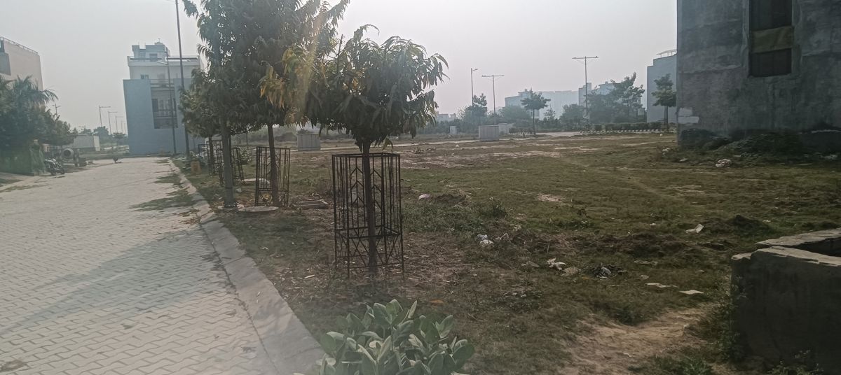 Plot For Sale in Sector 6 Wave City