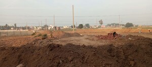  Plot For Sale in Sector 123