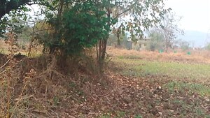 Plot Area in  Plot at Uran – for Sale
