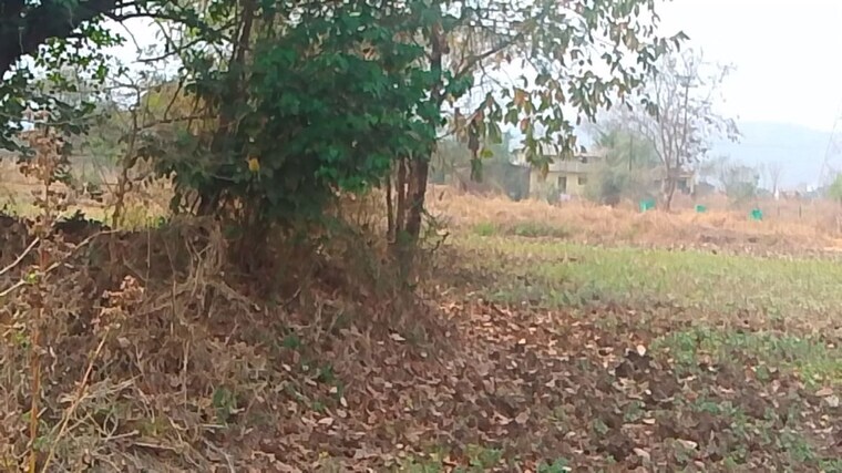 undefined, uran  1089 Sq.Ft. Plot In Uran Navi Mumbai 10131166