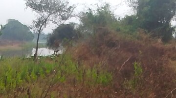 Plot Area in  Plot at Uran – for Sale