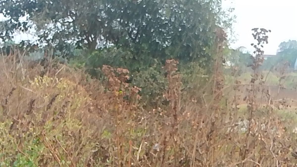 Plot For Sale in Uran