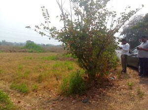 Plot Area in  Land at Pen – for Sale