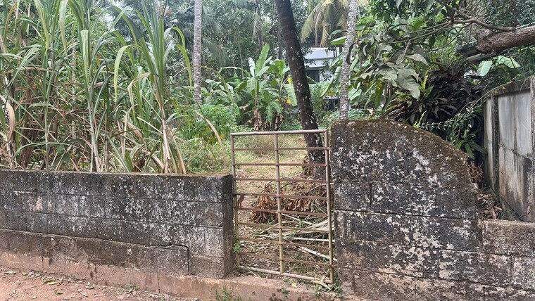 undefined, viyyur  5662 Sq.Ft. Plot In Viyyur Thrissur 10129936