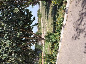  Plot – Garden View at Rambha Corona Greens, Sohna Sector 5 - for Sale