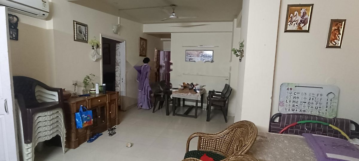 3 BHK Apartment For Rent in Tulip Orange