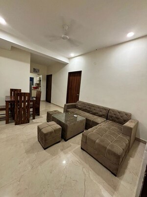 Living Room in 3 BHK Builder Floor at Sector 30 – for Rent
