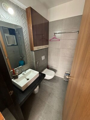 Bathroom in 2 BHK Apartment at Skyline Avenue, Moshi – for Rent