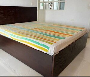  Pg For Rent in Gomti Nagar