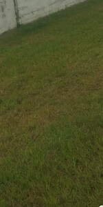 320 Sq.Yd. Plot in Model Gram