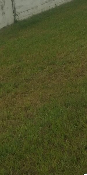  Plot For Sale in Model Gram