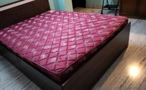  Pg For Rent in Gomti Nagar