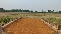Plot For Sale in MIHAN