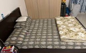  Pg For Rent in Gomti Nagar