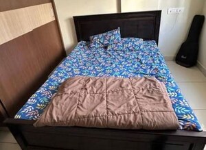  Pg For Rent in Gomti Nagar