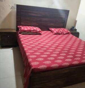  Pg For Rent in Gomti Nagar