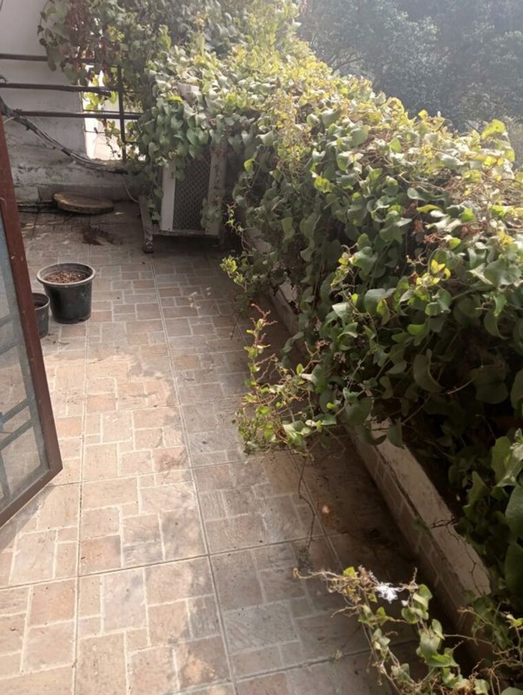 Balcony, greater kailash ii 3 Bedroom 2250 Sq.Ft. Builder Floor In Greater Kailash ii Delhi 10131856