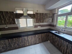 3.5 BHK + Servant Room Apartment For Rent in Orchid Petals