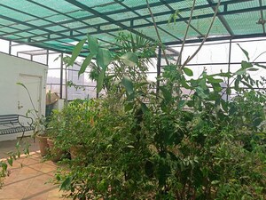 3 BHK Penthouse – Exterior View View at Rachana Gold Coast, Pashan - for Sale