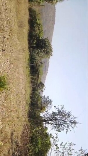 Plot Area in  Land at Manor – for Sale