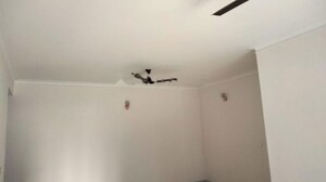 3 BHK Apartment For Rent in Pareena The Elite Residences, Sector 99