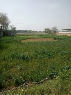 Land For Sale in Paras Arcade 114