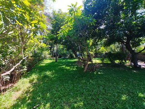 3 BHK Independent House – Garden View at Kanathur - for Rent