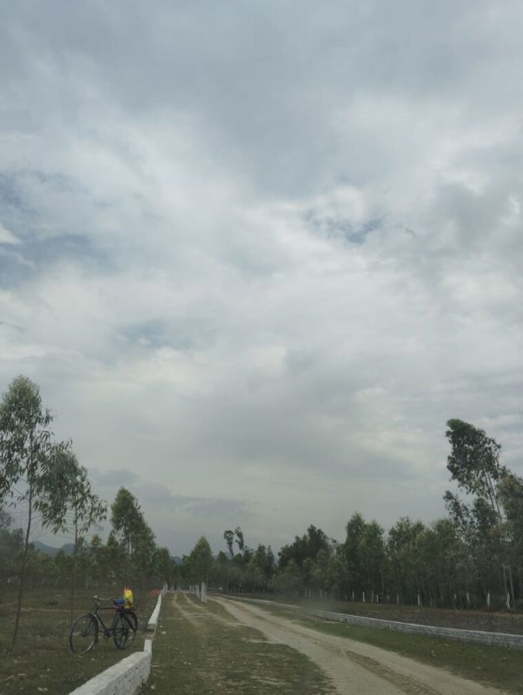 undefined, saharanpur road  100 Sq.Yd. Plot In Saharanpur Road Dehradun 10134901