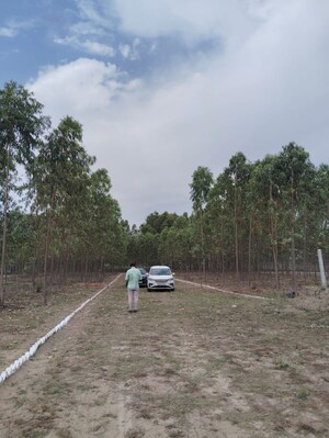 Plot Area in  Plot at Saharanpur Road – for Sale