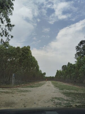 Plot Area in  Plot at Saharanpur Road – for Sale