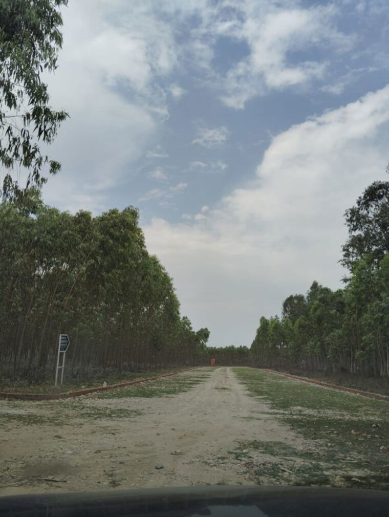 undefined, saharanpur road  100 Sq.Yd. Plot In Saharanpur Road Dehradun 10134901