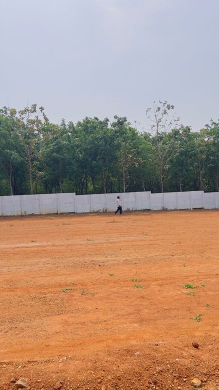 undefined, vijay nagar  1257 Sq.Ft. Plot In Vijay Nagar Indore 10135895