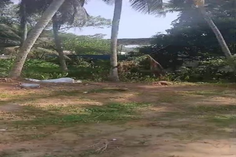 Garden, pullur  908 Sq.Ft. Plot In Pullur Kurnool 10136601