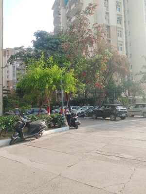 Parking in 3 BHK Apartment at Tulip Ace, Sector 89 – for Rent