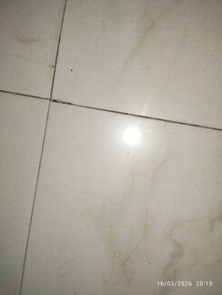 2.5 BHK + Pooja Room Apartment For Rent in Malaysian Township