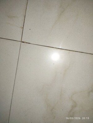 2.5 BHK Apartment For Rent in Malaysian Township, Kukatpally