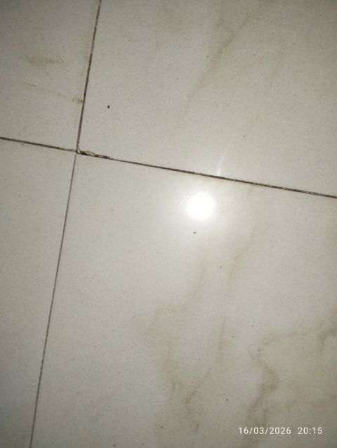 2.5 BHK + Pooja Room Apartment For Rent in Malaysian Township