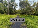10892 Sq.Ft. Plot in Tripunithura