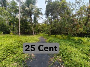  Plot For Sale in Tripunithura