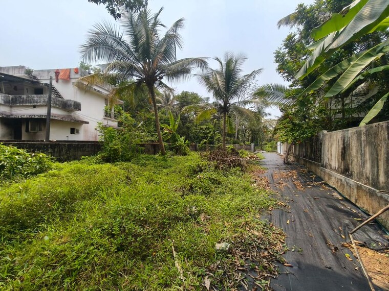 Garden, tripunithura  10892 Sq.Ft. Plot In Tripunithura Kochi 10137212